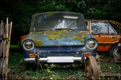 Quel est le nom de celle-ci qui attend sagement que son propriétaire revienne ?