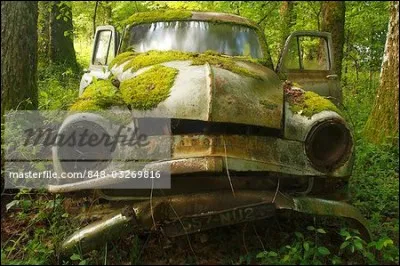 Quel est le nom de celle qui commence à se confondre avec les végétaux ?