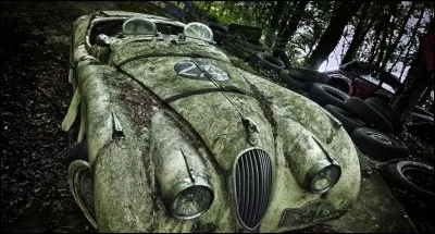 Quel est le nom de celle-ci qui a fini sa course dans les fourrés !