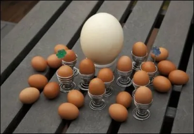 En moyenne, à combien d'ufs de poule équivaut un uf d'autruche ?