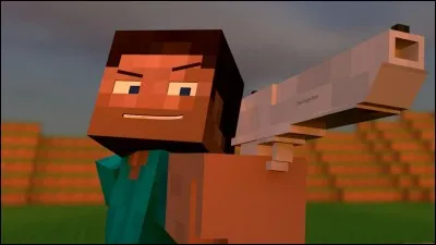 De quelle couleur est le pantalon de steve