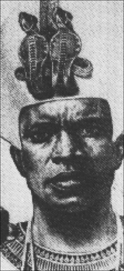 Sous l'emprise égyptienne, ce n'est qu'au commencement du VIIIe siècle à la basse époque qu'ils conquirent l'Égypte à leur tour avec à leur tête le nouveau pharaon noir. Qui est-il ?