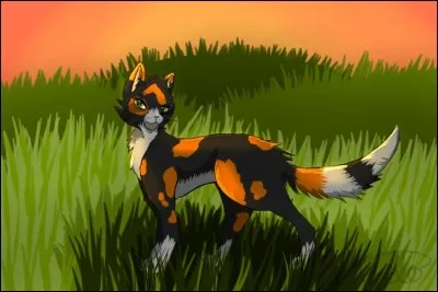 Mais pourquoi a-t-on si peur d'elle dans le Clan du Tonnerre ?