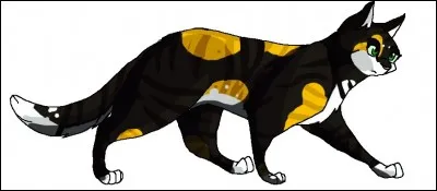 Pourquoi Nuage d'Or est-elle partie du Clan du Tonnerre ?