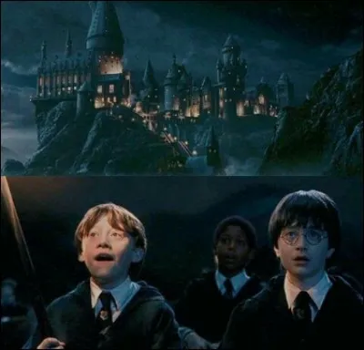 Dans quel tome Harry se fait-il attaquer par une araignée dans un labyrinthe ?