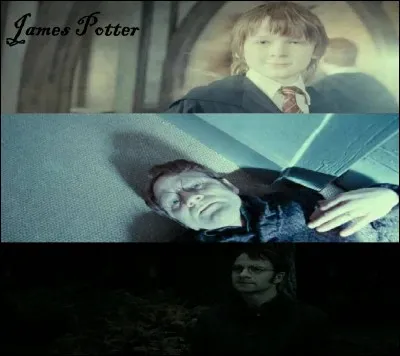 Quel est le Patronus de James Potter ?