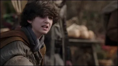 Quel acteur incarne le rôle de Baelfire ?