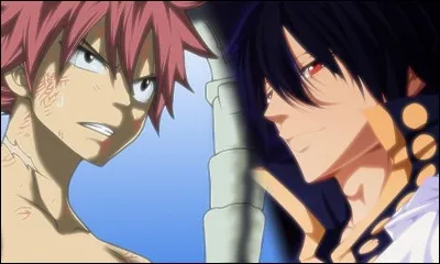 Qui est le frère de Natsu ?