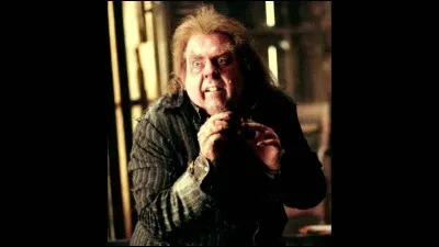 Peter Pettigrow est un Animagus. Lequel ?