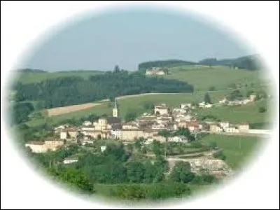Nous terminons notre promenade à Saint-Vincent-de-Reins. Commune d'Auvergne-Rhône-Alpes, elle se situe dans le département ...