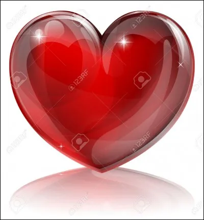 Quel chanteur chante "Je l'aime à mourir" ?