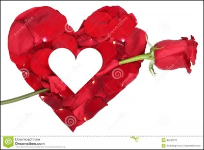 Quelle chanteuse chante "Ma plus belle histoire d'amour" ?