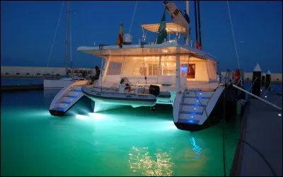 En 1 : On le fête le 31 à minuit - En 2 : Il est meilleur de ligne que d'élevage - En 3 : Interrogatif - En 4 : Des rillettes en 24 heures !