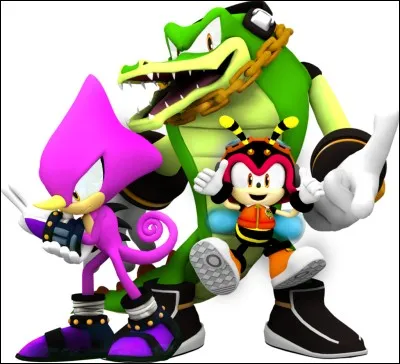 Comment se nomment les membres de la Team Chaotix ?