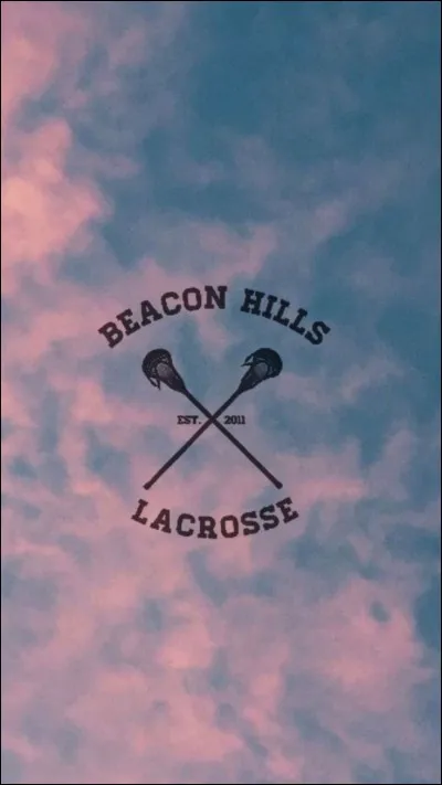 Qui a été capitaine de l'équipe ?