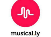 Quiz  Musical.ly 