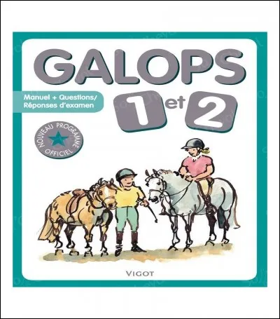 Combien existe-t-il de galops ?