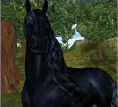 Combien de niveaux les non-stars riders peuvent-ils atteindre ?