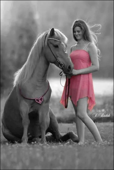 Qui chantait "Demandez à mon cheval", dans son album "Ailleurs Land" ?