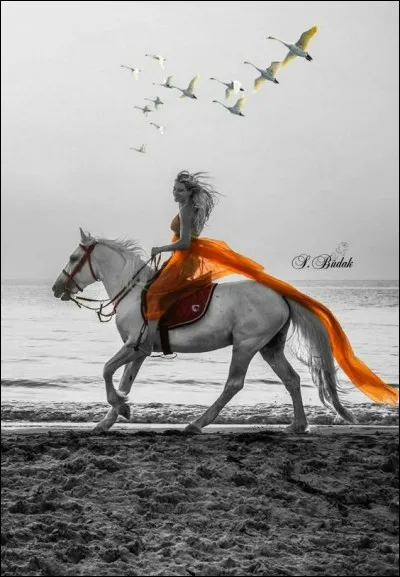 Quelle était la particularité du cheval Pégase ?