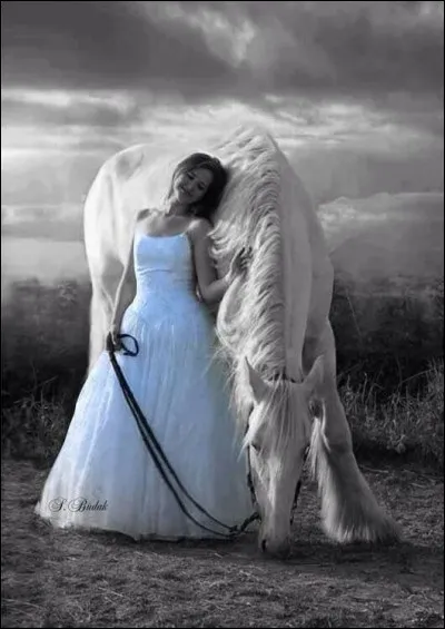 (Ce quiz est décoré avec de multiples photos du très talentueux Sabri Budak). De quelle couleur était la jument de Marcel Aymé ?