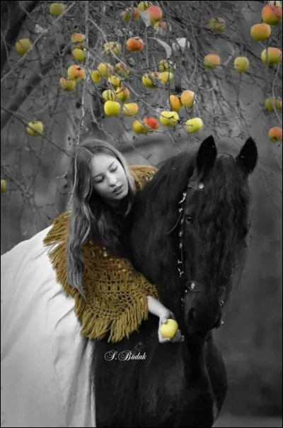 Qui a écrit "La mort du petit cheval" ?