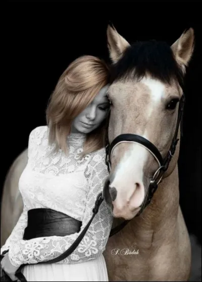 Quel acteur jouait aux côtés du cheval dans le film "Heureux qui comme Ulysse" ?