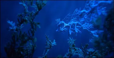 D'où vient le mot "eau" ?