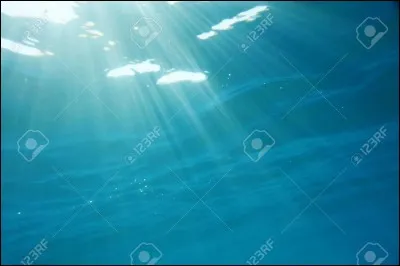 Et dans les océans (environ) ?