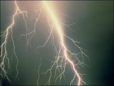 Les paroles de Griffe de Tigre à Cur de Feu avant d'être banni du clan du Tonnerre ont été : "Ouvre l'il, dresse l'oreille, sors les griffes, parce qu'un jour je te retrouverai et je te ferai la peau".