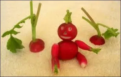 Amusons-nous avec de simples radis (et de petits cure-dents à ne pas déguster avec le radis bien sûr)... Voici un petit bonhomme, mais on pourrait tout à fait réaliser aussi...