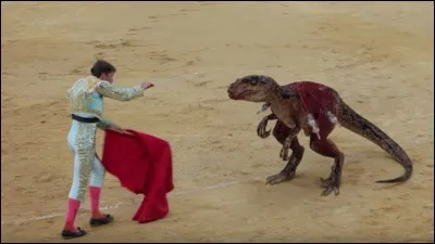 En France, on assiste à une timide apparition de la corrida vers les années :