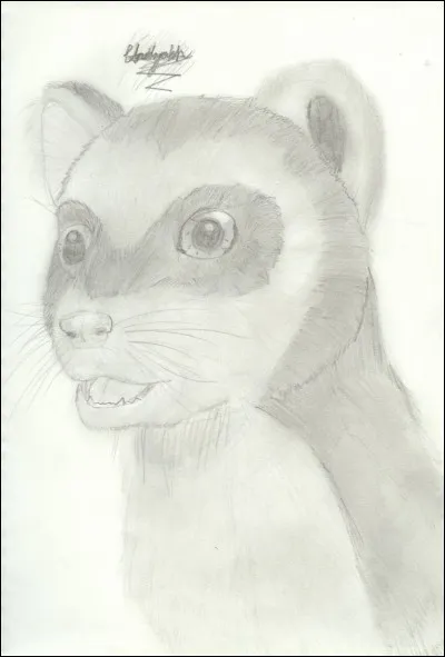 Comment s'appelle son dæmon ?