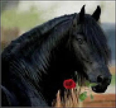 Quelle est cette robe ?