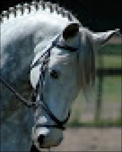 Quelle est cette robe ?