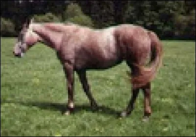 Quelle est cette robe ?