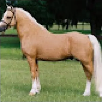 Quelle est cette robe ?