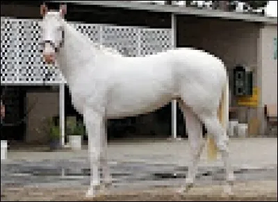 Quelle est cette robe ?