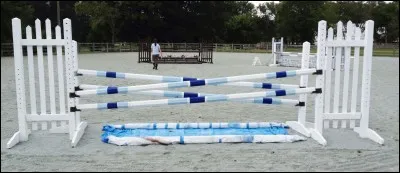 Parmi ces propositions, laquelle n'est pas un obstacle ?