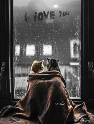 Nous rejoignons le domaine de la bande dessinée pour chercher le chat qui fut l' inséparable compagnon, bien qu'ennemi de Pif le chien ?