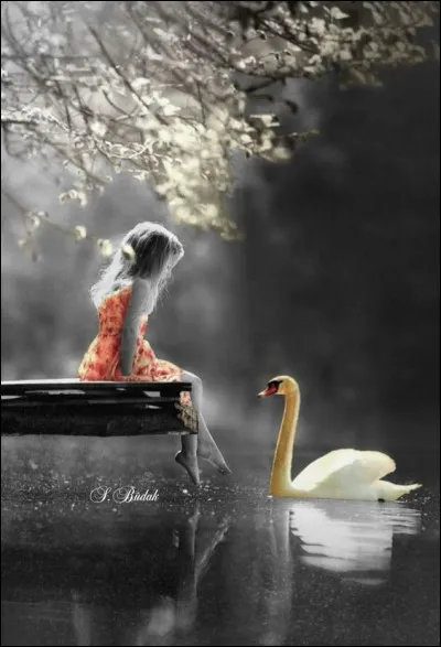 Qui a composé "Le lac des cygnes" ?