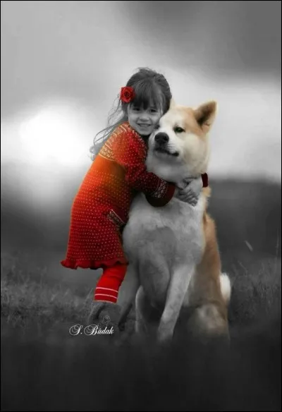 Quelle est la race de ce chien ?