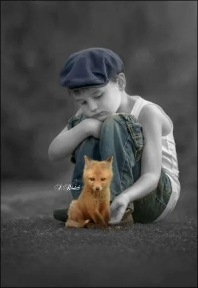 Dans le roman "Le petit Prince" de Saint Exupéry, quel sentiment est symbolisé par le renard ?