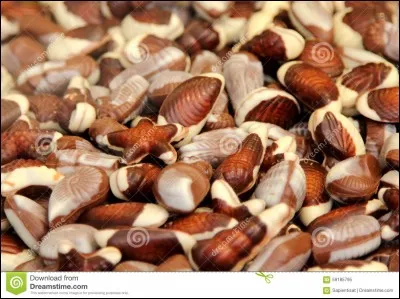 Combien de tonnes par an, la Belgique produit-elle de chocolat ?