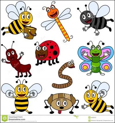 Quel insecte obtient-on en étirant un grand-père ?