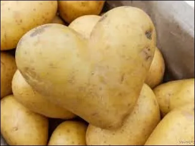 Quel plat ne contient pas de pommes de terre ?