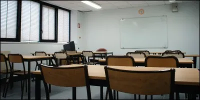 Si tu devais être professeur, tu enseignerais...