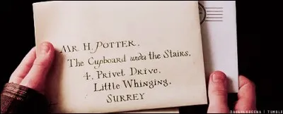 Cette main lit un courrier personnel, qui franchît bien des obstacles avant d'arriver à son destinataire. A qui est-elle ?