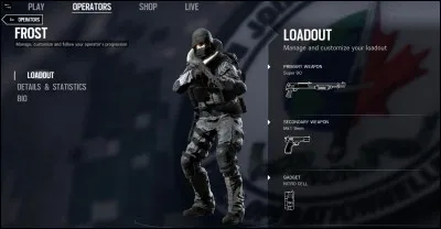 Que peut faire frost