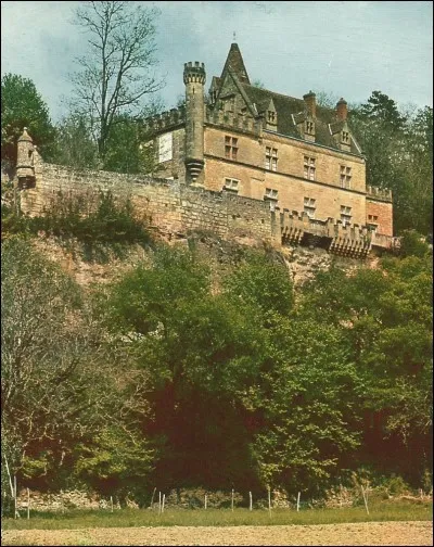 Entre les Eyzies et Sarlat, c'est le château de...